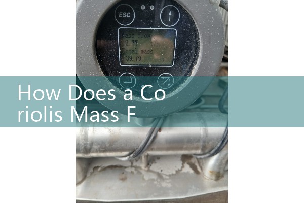 How Does a Coriolis Mass Flow Meter Work: Oscillating Fluid Dynamics Physics